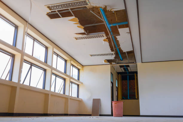 Best Commercial water damage restoration  in Bayport, NY
