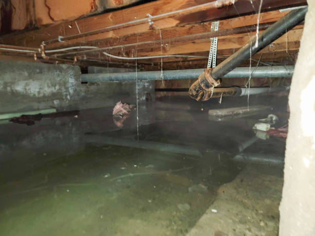 Best Flooded house restoration  in Bayport, NY