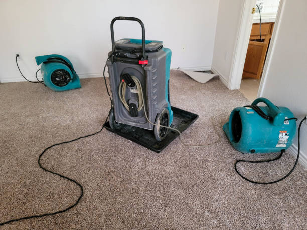 Best Basement water damage restoration  in Bayport, NY
