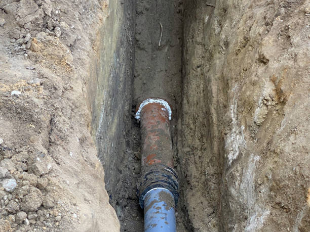 Best Sewage cleanup and water damage restoration  in Bayport, NY