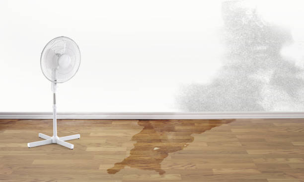Best Water damage restoration near me  in Bayport, NY