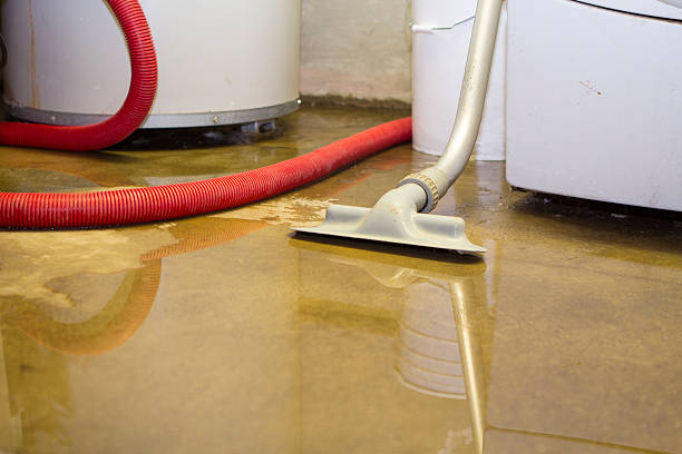 Best Carpet water damage restoration  in Bayport, NY