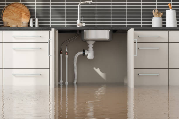 Best Water damage contractors near me  in Bayport, NY